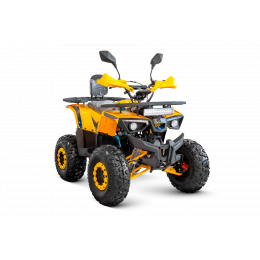Квадроцикл SUBORBOX-125