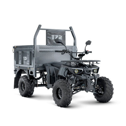 Грузовой квадроцикл TZR-0200 