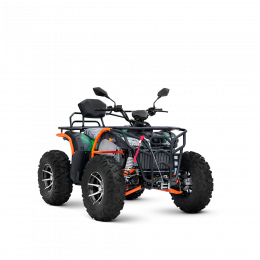 Квадроцикл TZR-300 (4x4)