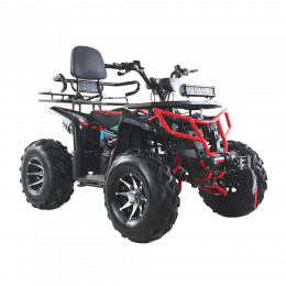 Квадроцикл TZR 200 DEFENDER