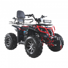 Квадроцикл TZR DEFENDER 200