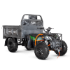 Грузовой квадроцикл TZR FARMER 300 (4х4)